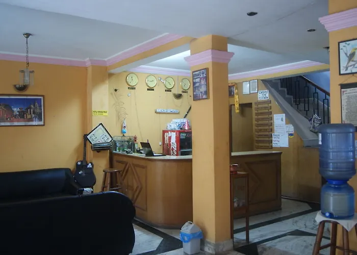 Bed and breakfast Pokhara Peace 2*
